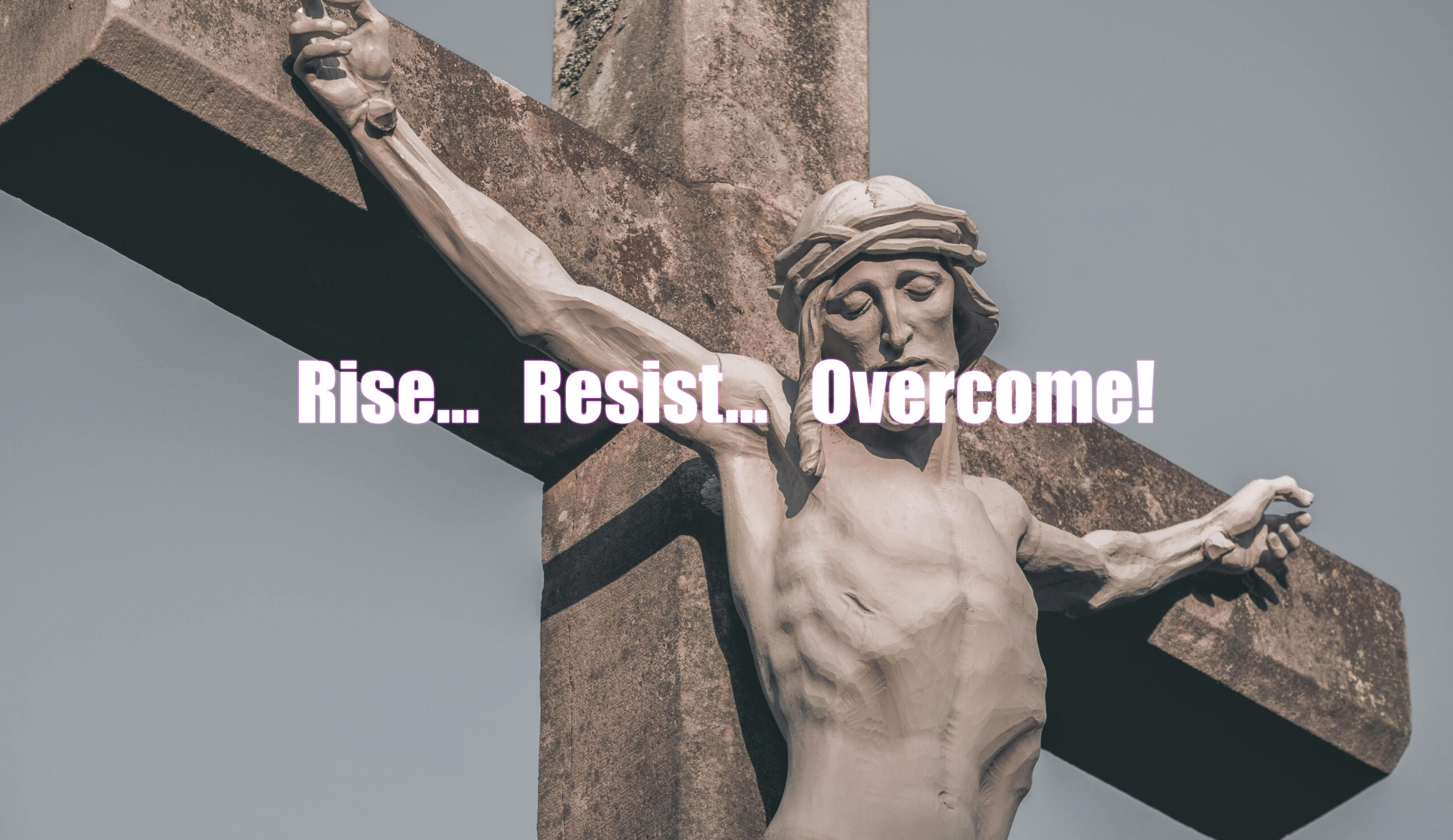 main cover picture for website 1440 pic3